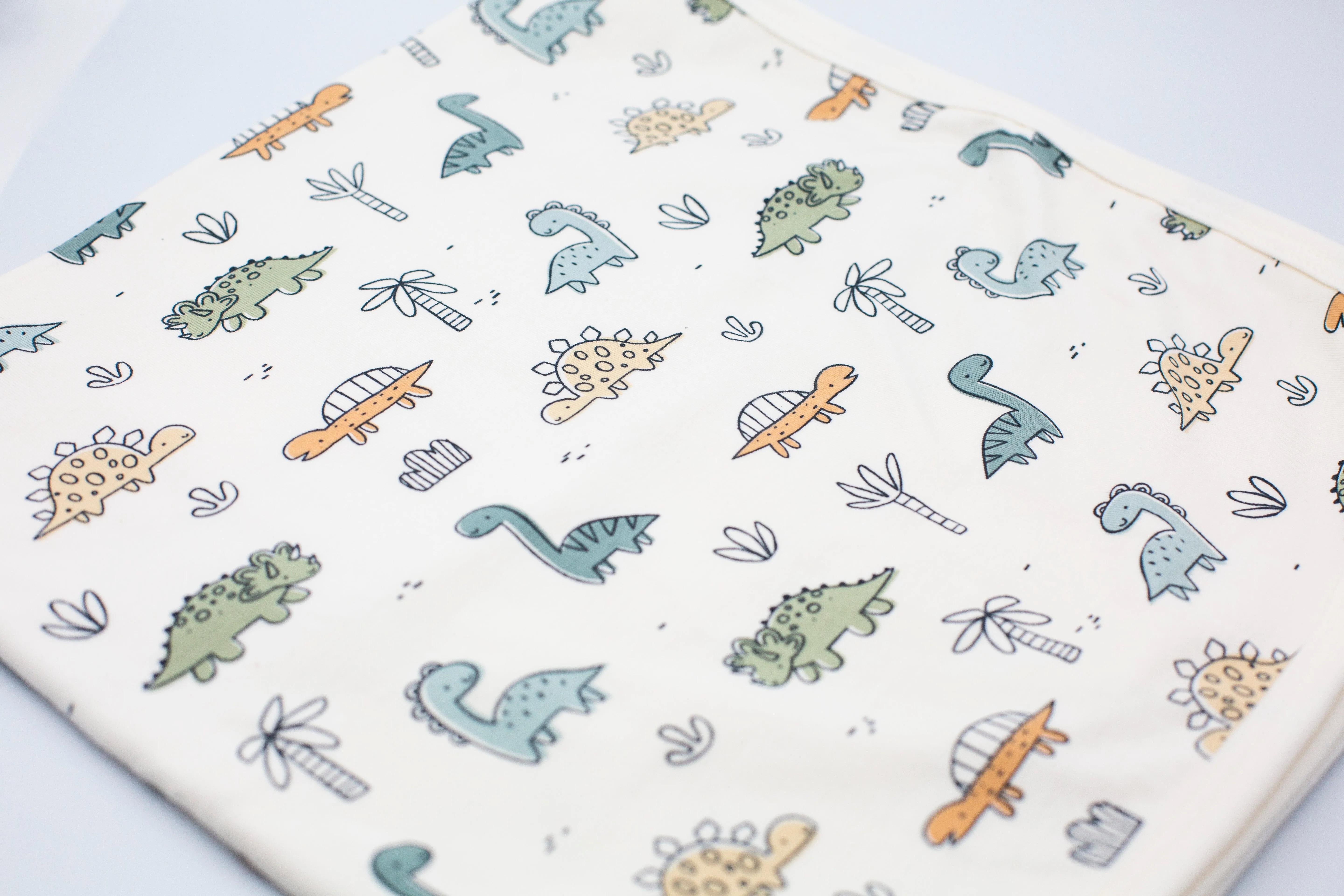 Baby Blanket, Dinosaurs Print