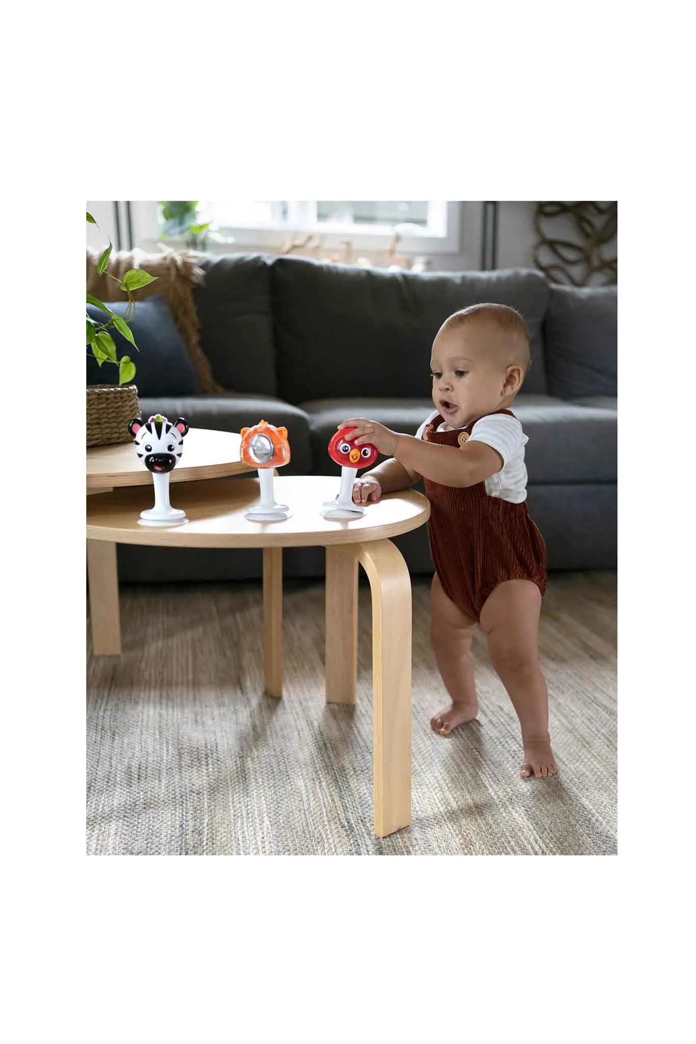 Baby Einstein Rattle & Jingle Trio Take Along Toy