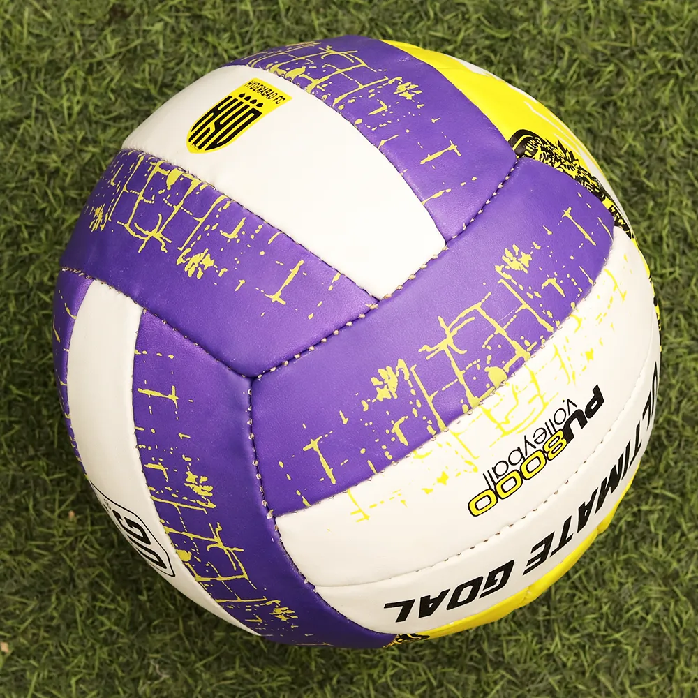 Blue Volleyball (Size 5) | 10  Years