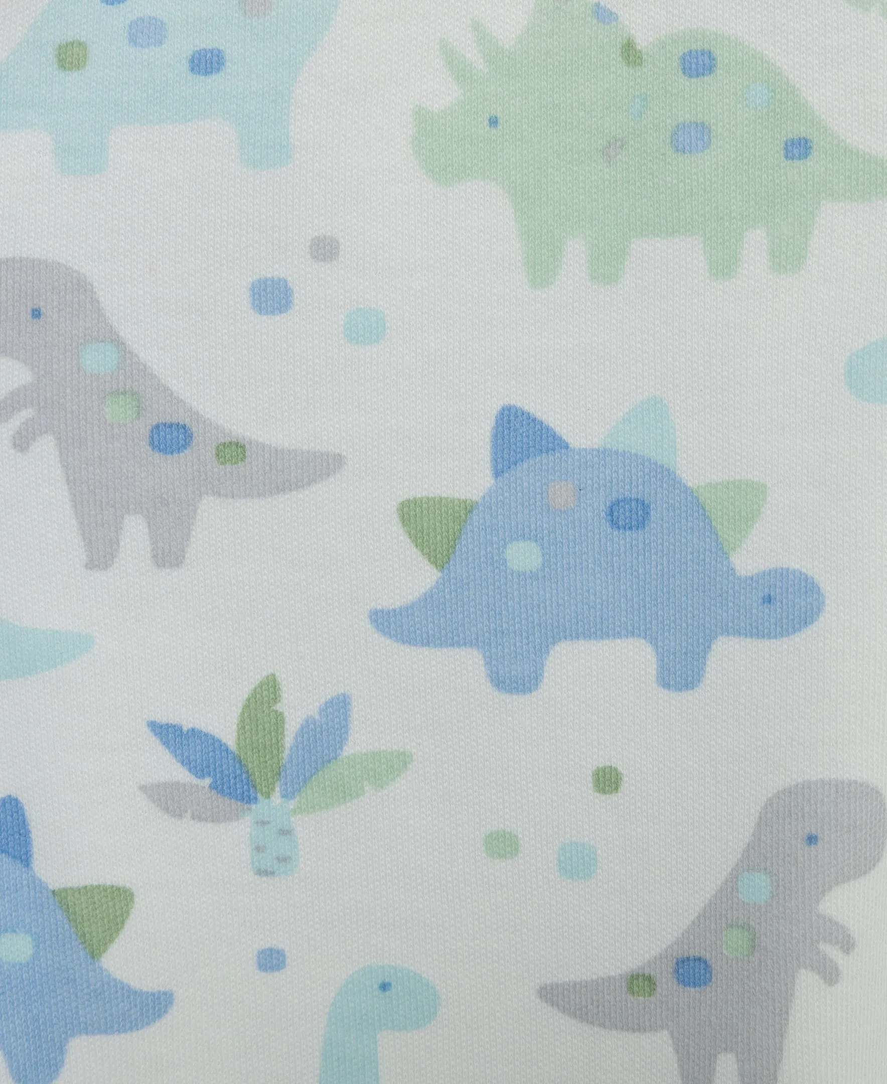 Cute Dinos Footed Pant Set
