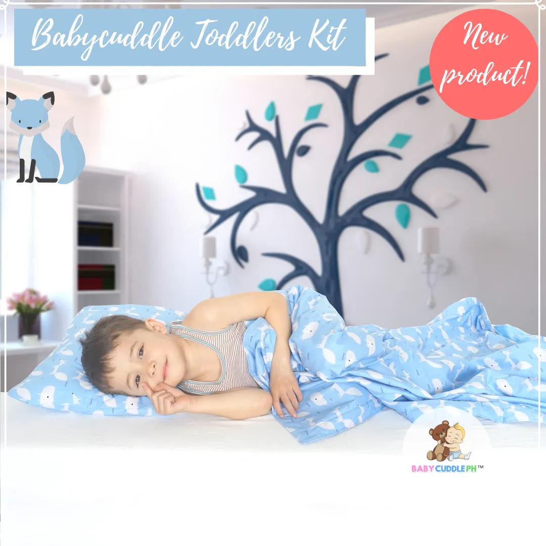 Little Fox in blue -  Babycuddleph Toddlers kit (Pillow & Blanket)