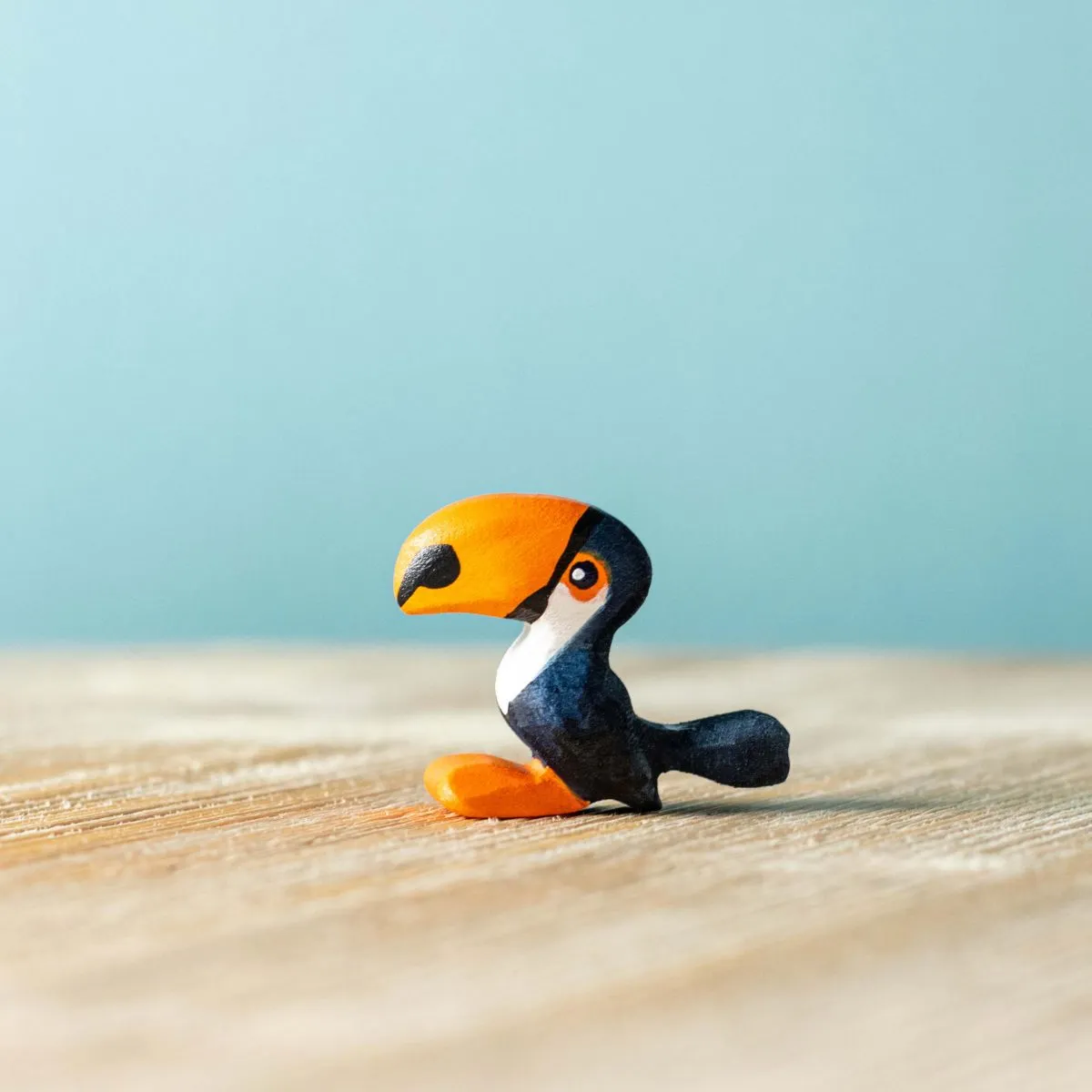 Wooden Toucan Chick